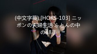 (中文字幕) [HOKS-103] ニッポンの夫婦生活 ふとんの中の48手