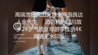 【自制字幕系列】之【壹屌寻花】（第二场）南航空姐，高跟黑丝女神，此等佳人难得一遇