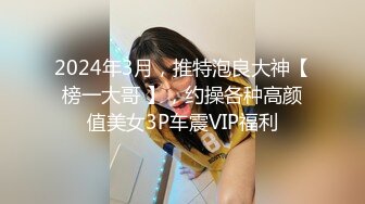 2024年3月，推特泡良大神【榜一大哥 】，约操各种高颜值美女3P车震VIP福利