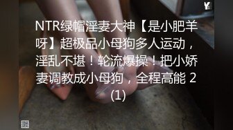 NTR绿帽淫妻大神【是小肥羊呀】超极品小母狗多人运动，淫乱不堪！轮流爆操！把小娇妻调教成小母狗，全程高能 2 (1)