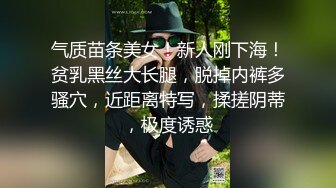 麻豆传媒MD-0162 淫荡话语翻译机 骚话诱惑放荡抽插-仙儿媛