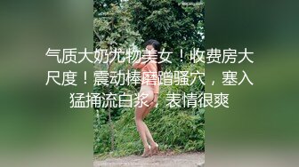 【无水印精选】【大奶熟妻】丰满巨乳大奶良家熟女人妻与老公居家性爱papa