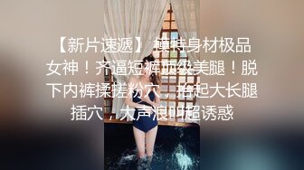 操趴小母狗