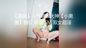 麻豆春游记兔子先生淫过年【下】