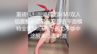 帝都少妇杀手推特有钱UP主北京Mr.性先生花式调教各种少妇母狗窗前爆操腰窝臀浪反差婊征服感爆棚