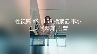 小片段，有完整版