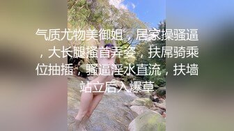 气质新人妹子，灰色吊带，跳蛋隔着内裤刺激