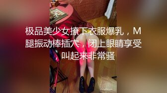 国产AV 大象传媒 淫荡人妻家政妇