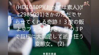 【极品骚货反_差婊】最新精选10套超高颜值美女生活淫乱私拍甄选 肥臀后入 脸穴同框 多种玩法 完美露脸 第①季 (2)