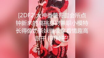 【精品】斗鱼女神【奇领蒙蒙】角色扮演空服员 性感魅舞