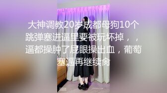 《极品CP☀️魔手☛外购》价值千元巨作！商场全景4K镜头偸拍女卫各种大屁股小姐姐方便~好多气质美女应接不暇好过瘾 (3)