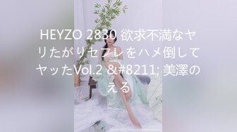 HEYZO 2830 欲求不満なヤリたがりセフレをハメ倒してヤッたVol.2 &#8211; 美澤のえる