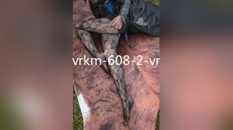 vrkm-608-2-vr