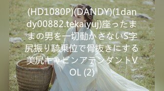 (HD1080P)(DANDY)(1dandy00882.tekaiyuj)座ったままの男を一切動かさないS字尻振り騎乗位で骨抜きにする美尻キャビンアテンダントVOL (2)