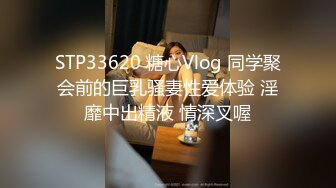 STP33620 糖心Vlog 同学聚会前的巨乳骚妻性爱体验 淫靡中出精液 情深叉喔